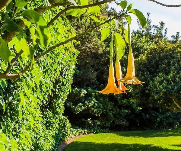 Bora Bora Apartamento