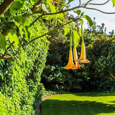 Bora Bora アパート